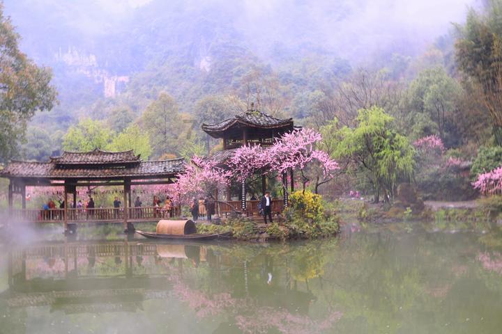 任振鹤参加武威代表团审议
