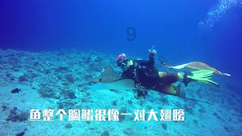 深耕突破 辰龙而上 | 文体旅局召开年度工作会议暨表彰大会