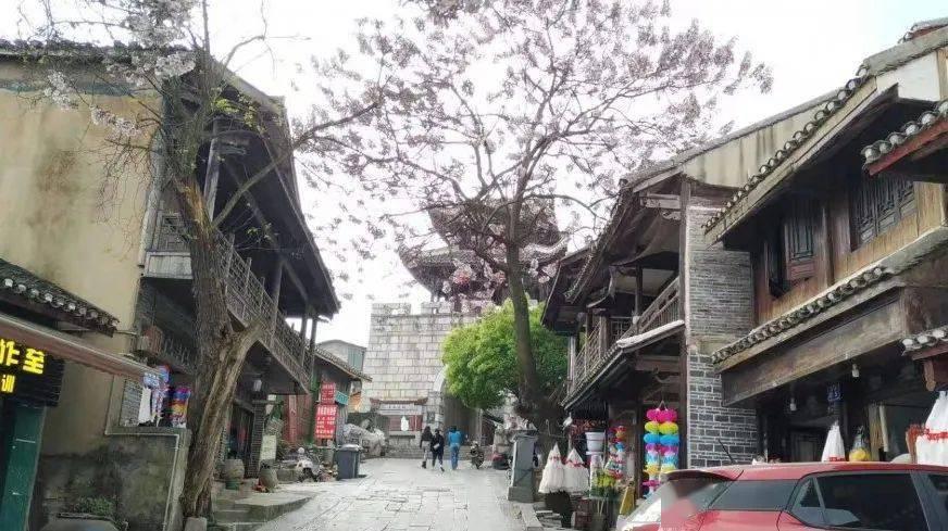 拯救红松鼠